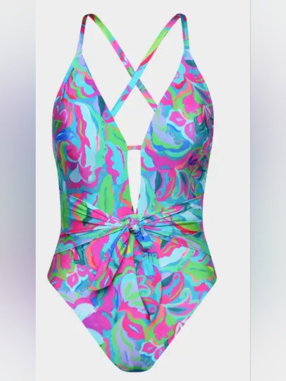 Sunshine 79 ISwirltopia V Plunge One-Piece Swimsuit